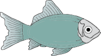 generic fish