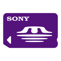 primary memory stick mount