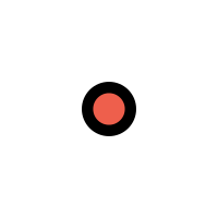 primary point