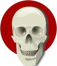 Human skull