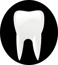 tooth