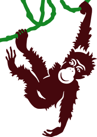 Hanging Monkey