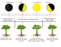 Fases De La Luna