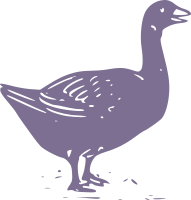 Goose