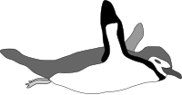 Penguin swim