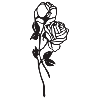 Two Roses