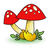 Fungal Forest