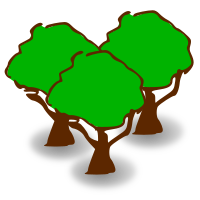 Heafy Forest