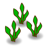 Kelp Forest Heavy