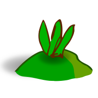 Shrubland Hills