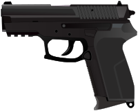 P2022 handgun