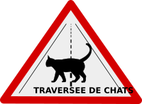 Traversée de chats