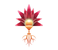 Embellish 2