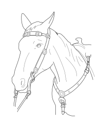 Horse Chest Plate