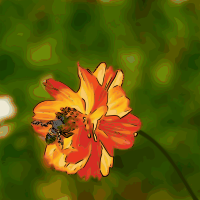 Bee and Flower