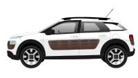 C4 cactus car