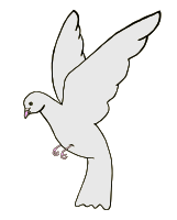 paloma (dove)