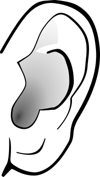 ear