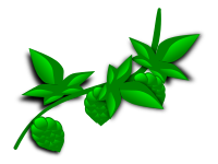 hops - illustrated