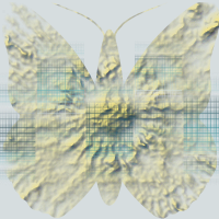 Gold butterfly