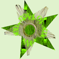Psychedelic stars