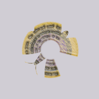 Disc butterfly