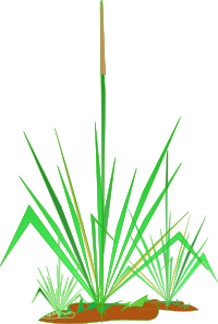 Matinho de jardim