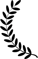 Laurel wreath single twig