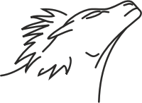 Lion line drawing