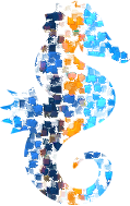 Seahorse