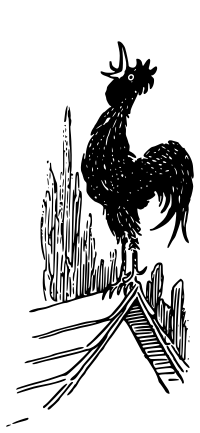 Rooster