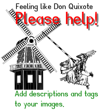 Please help! - write descriptions and tags