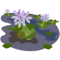 plant-08