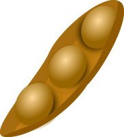 Soybean beans