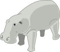 hippopotamus