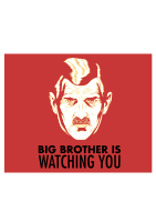 Big Brother is watching you