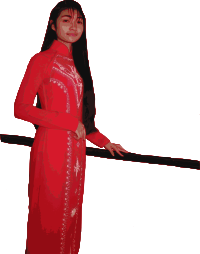 Vietnamese Ao Dai