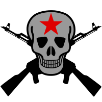 Skull and crossed guns 2