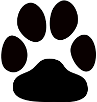 Huella de perro 3