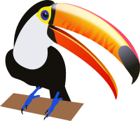 Toucan