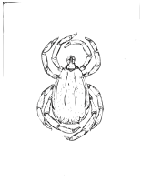 Tick image for clip art (UNCLASSIFIED)
