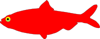 Red Herring