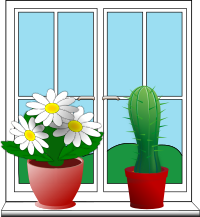 Window with potted plants