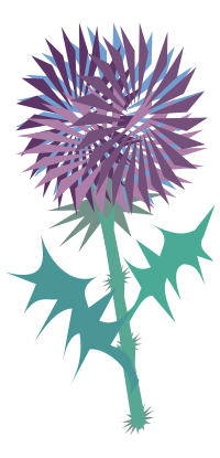 thistle