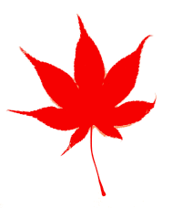 Japanese Fall Leaf Color