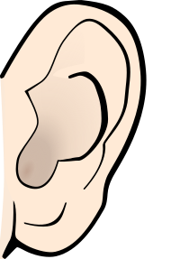 ear colored