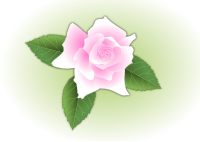 Pink rose - updated and fixed