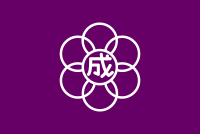 Flag of former Narita, Chiba