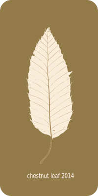 chestnut leaf 2014