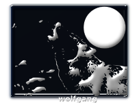 Wolf At Night